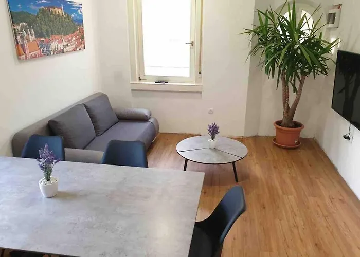 The * 卢布尔雅那